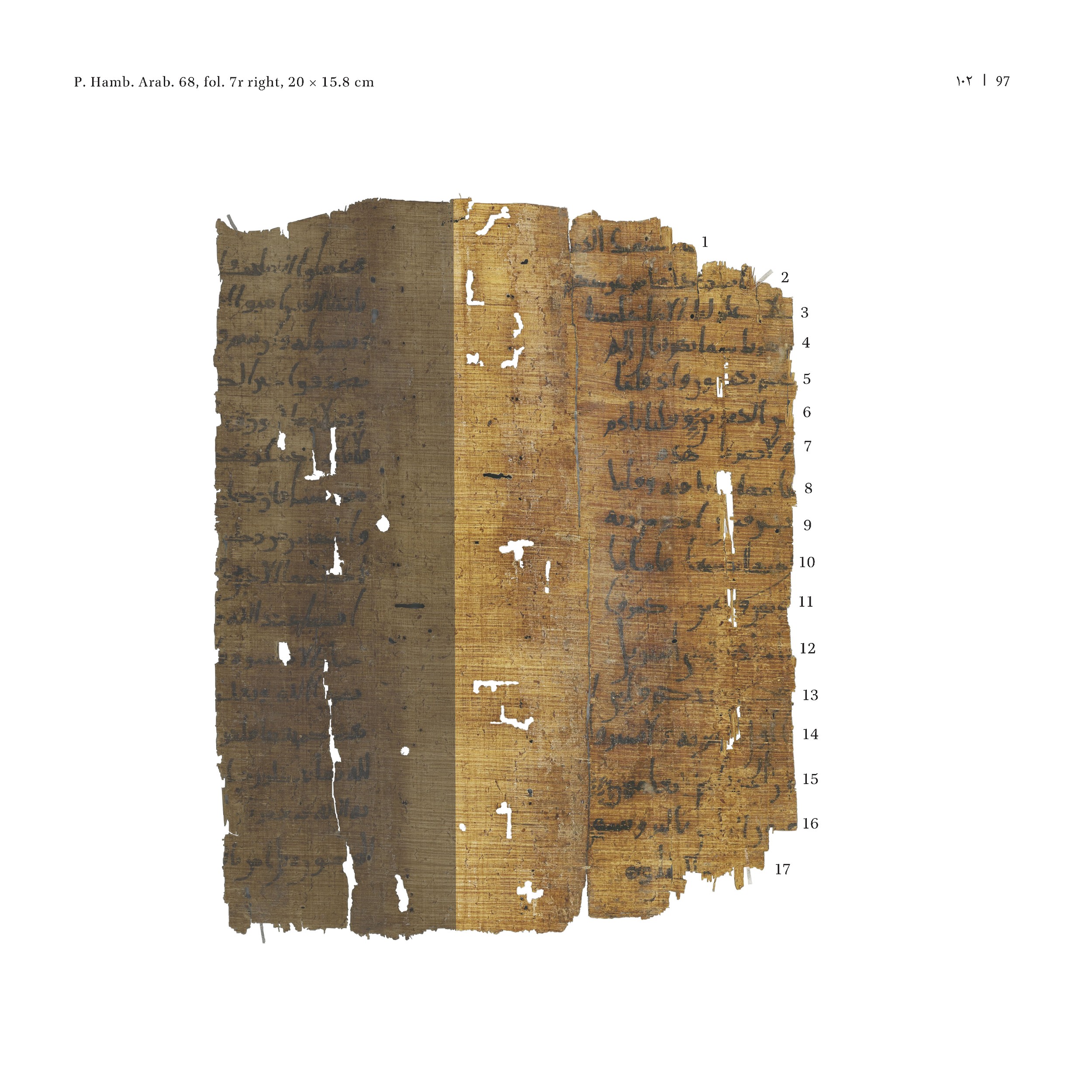 P. Hamb. Arab. 68 (Scan 2), in ḥiǧāzī IV script, showing Surah 2:44 from Mid 7th to Mid 8th Century AD found in Egypt, currently housed at Staats- und Universitätsbibliothek Hamburg, Hamburg, Germany