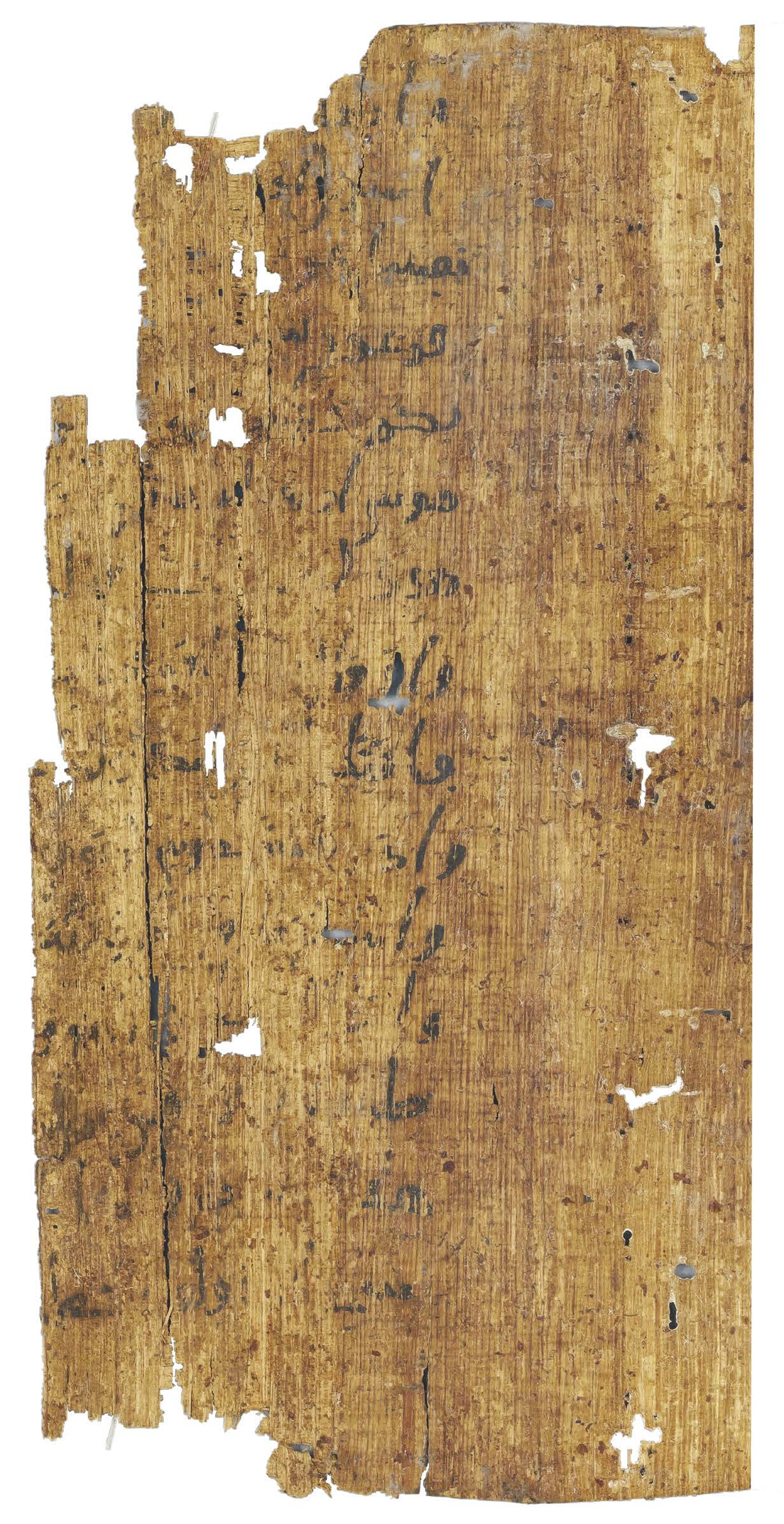P. Hamb. Arab. 68 (Scan 1), in ḥiǧāzī IV script, showing Surah 2:49 from Mid 7th to Mid 8th Century AD found in Egypt, currently housed at Staats- und Universitätsbibliothek Hamburg, Hamburg, Germany