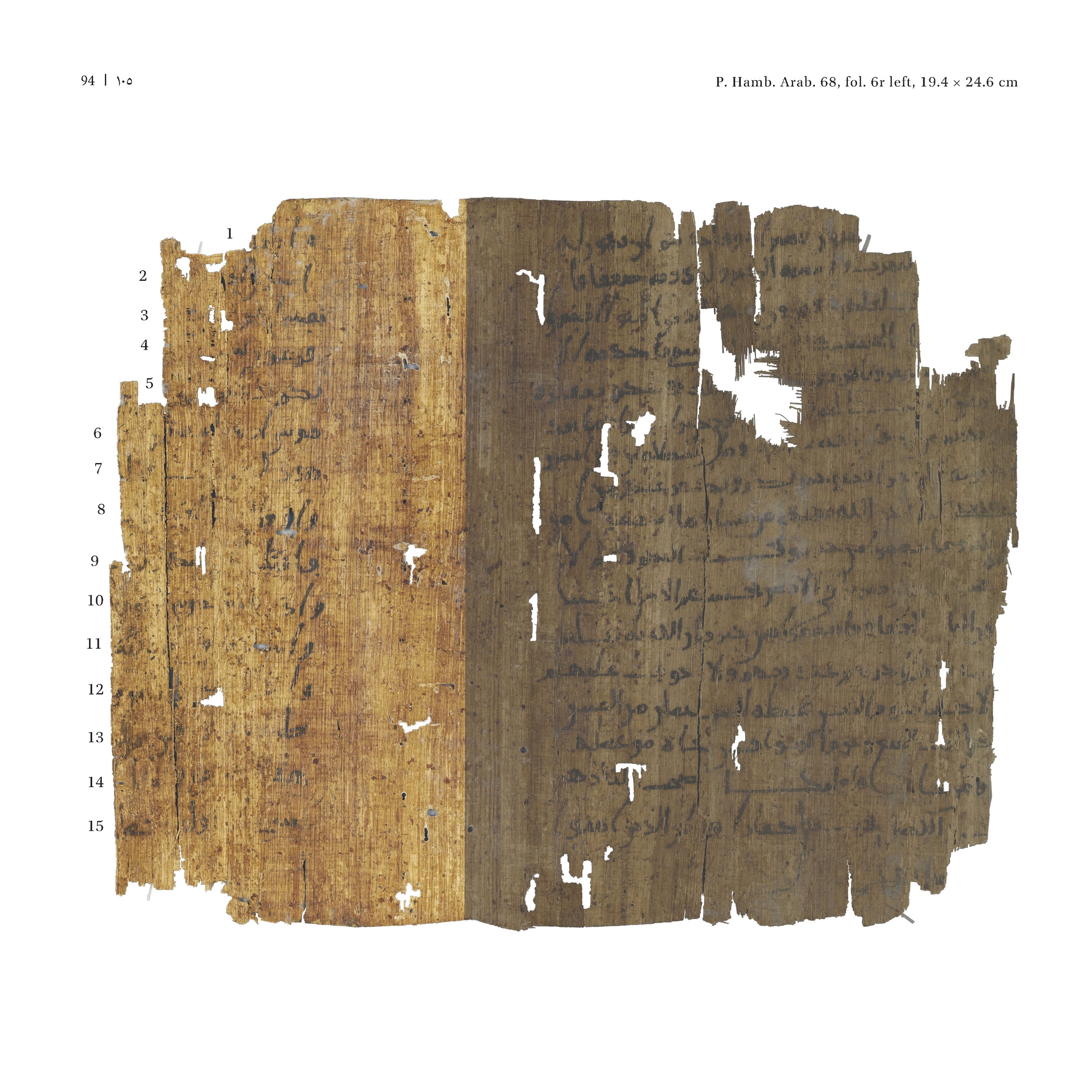 P. Hamb. Arab. 68 (Scan 2), in ḥiǧāzī IV script, showing Surah 2:49 from Mid 7th to Mid 8th Century AD found in Egypt, currently housed at Staats- und Universitätsbibliothek Hamburg, Hamburg, Germany