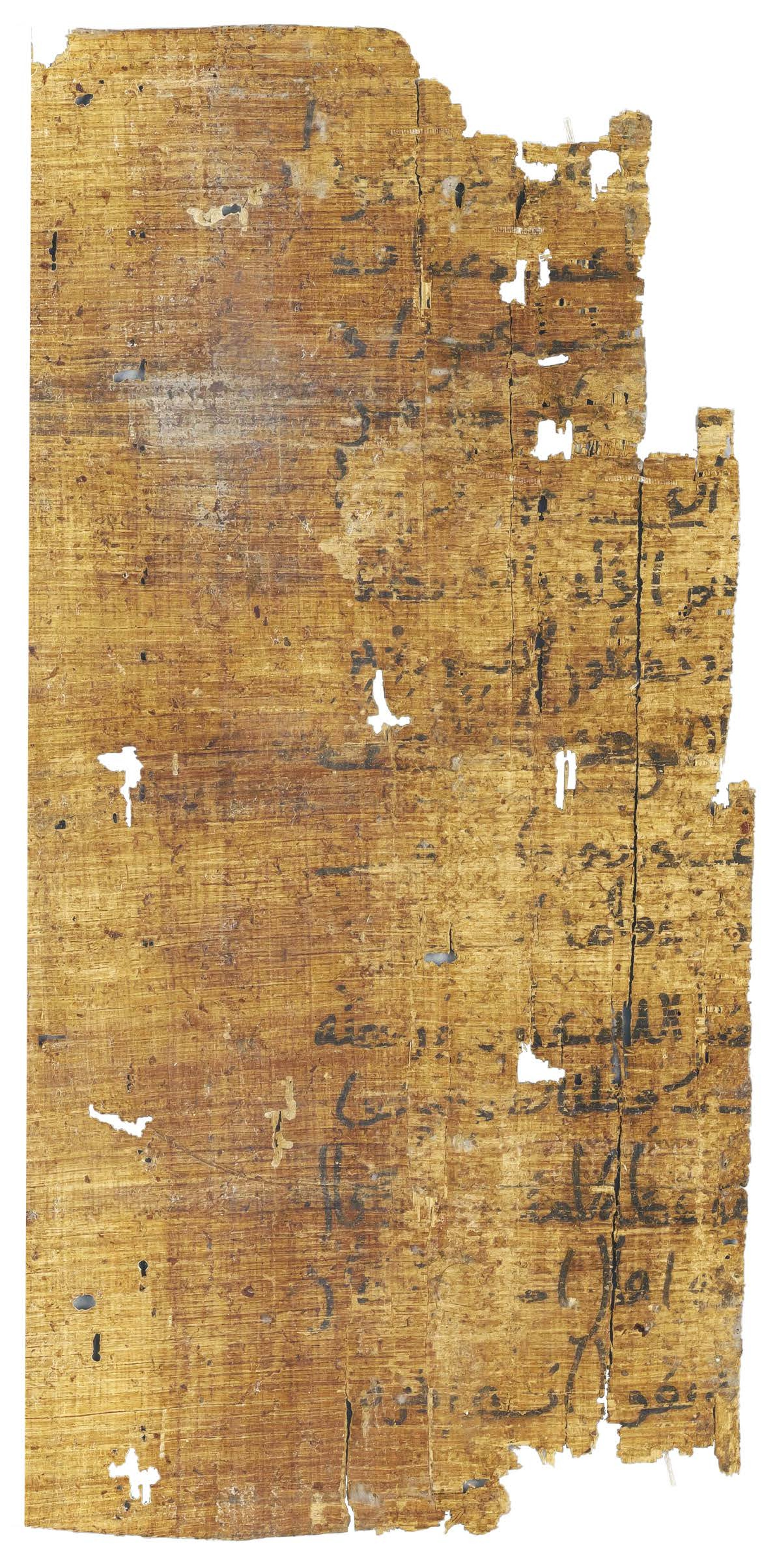 P. Hamb. Arab. 68 (Scan 1), in ḥiǧāzī IV script, showing Surah 2:64 from Mid 7th to Mid 8th Century AD found in Egypt, currently housed at Staats- und Universitätsbibliothek Hamburg, Hamburg, Germany