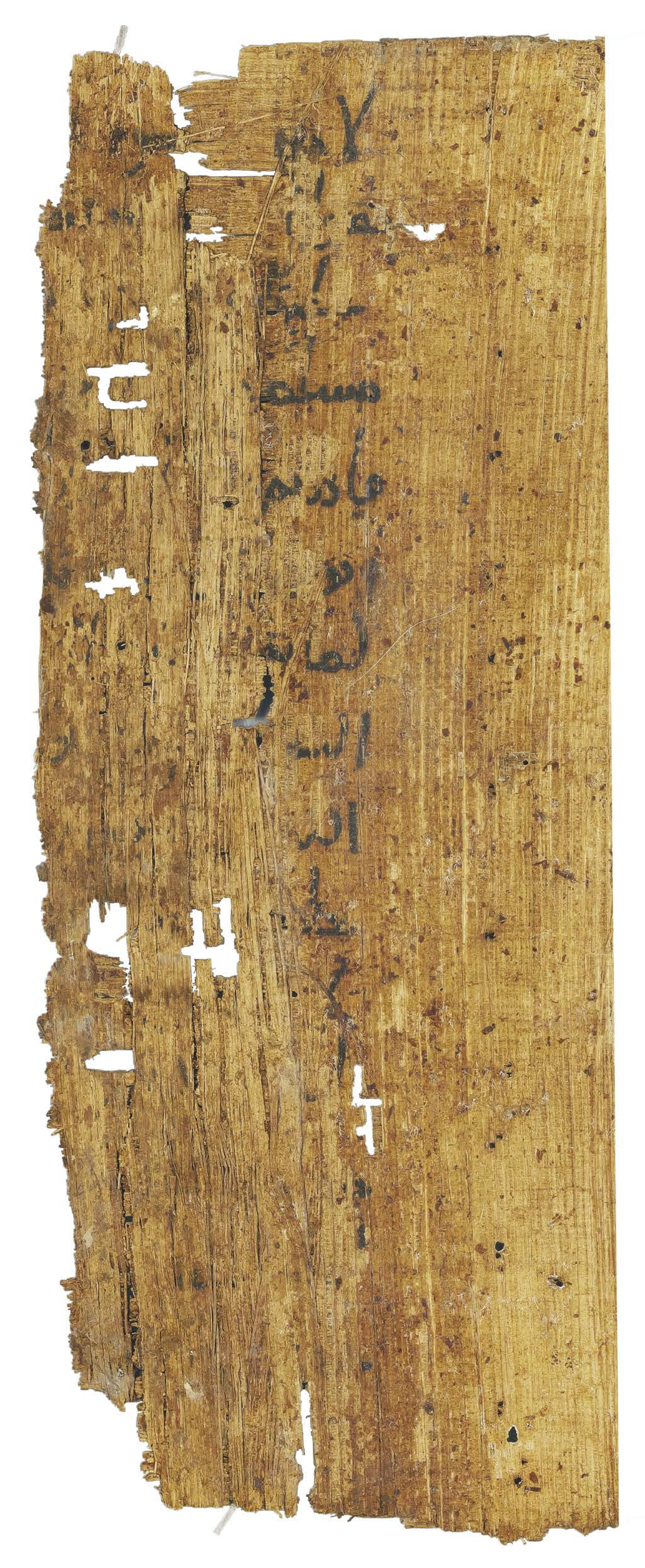 P. Hamb. Arab. 68 (Scan 1), in ḥiǧāzī IV script, showing Surah 2:71 from Mid 7th to Mid 8th Century AD found in Egypt, currently housed at Staats- und Universitätsbibliothek Hamburg, Hamburg, Germany