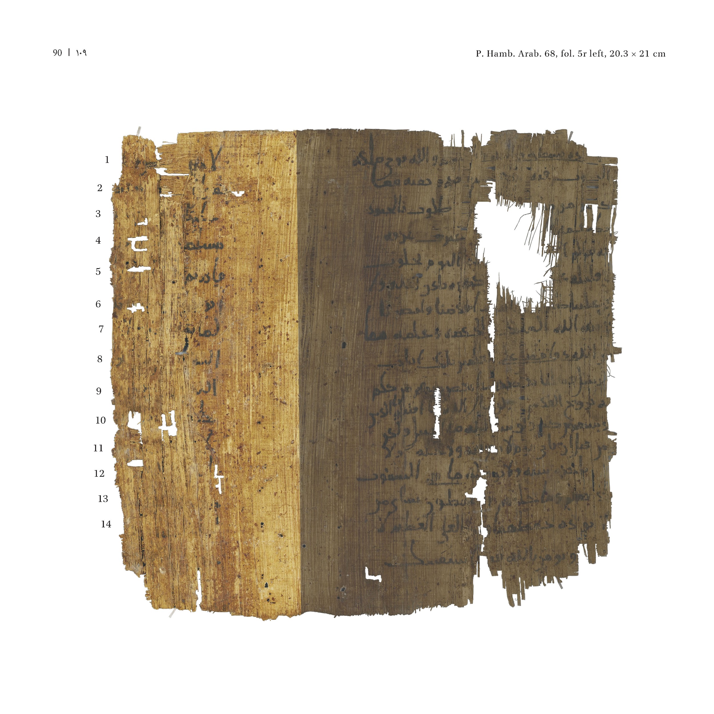 P. Hamb. Arab. 68 (Scan 2), in ḥiǧāzī IV script, showing Surah 2:71 from Mid 7th to Mid 8th Century AD found in Egypt, currently housed at Staats- und Universitätsbibliothek Hamburg, Hamburg, Germany
