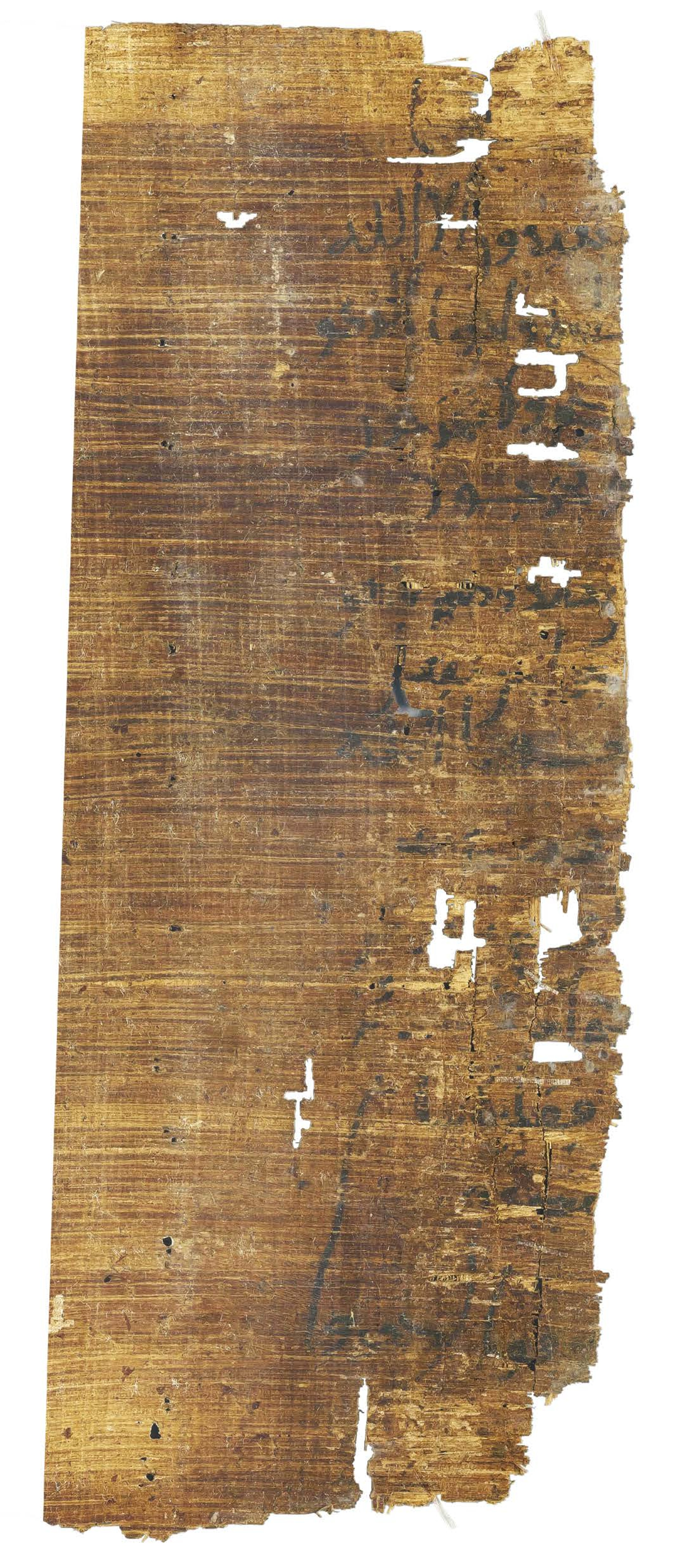 P. Hamb. Arab. 68 (Scan 1), in ḥiǧāzī IV script, showing Surah 2:83 from Mid 7th to Mid 8th Century AD found in Egypt, currently housed at Staats- und Universitätsbibliothek Hamburg, Hamburg, Germany