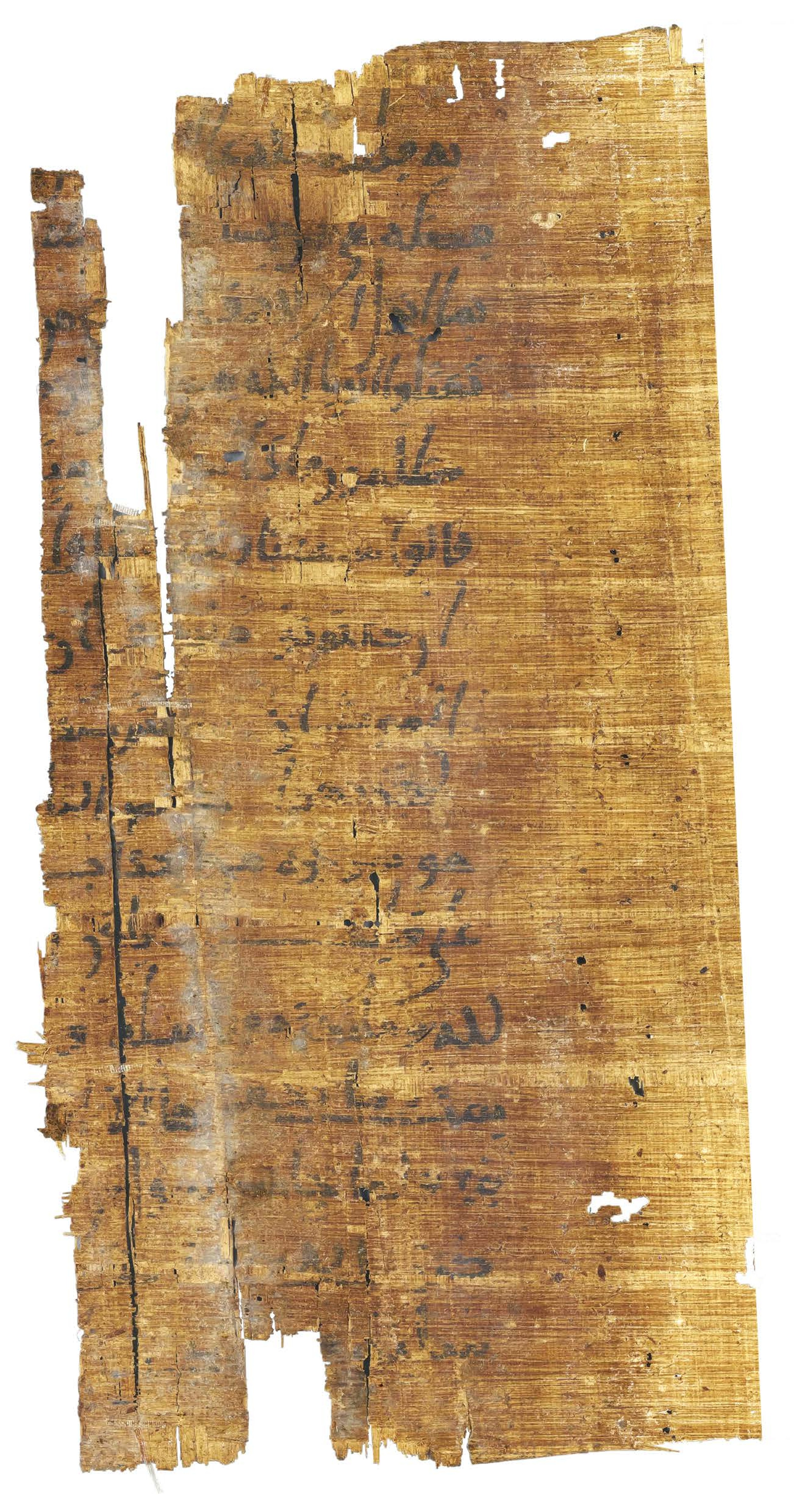 P. Hamb. Arab. 68 (Scan 4), in ḥiǧāzī IV script, showing Surah 2:89 from Mid 7th to Mid 8th Century AD found in Egypt, currently housed at Staats- und Universitätsbibliothek Hamburg, Hamburg, Germany