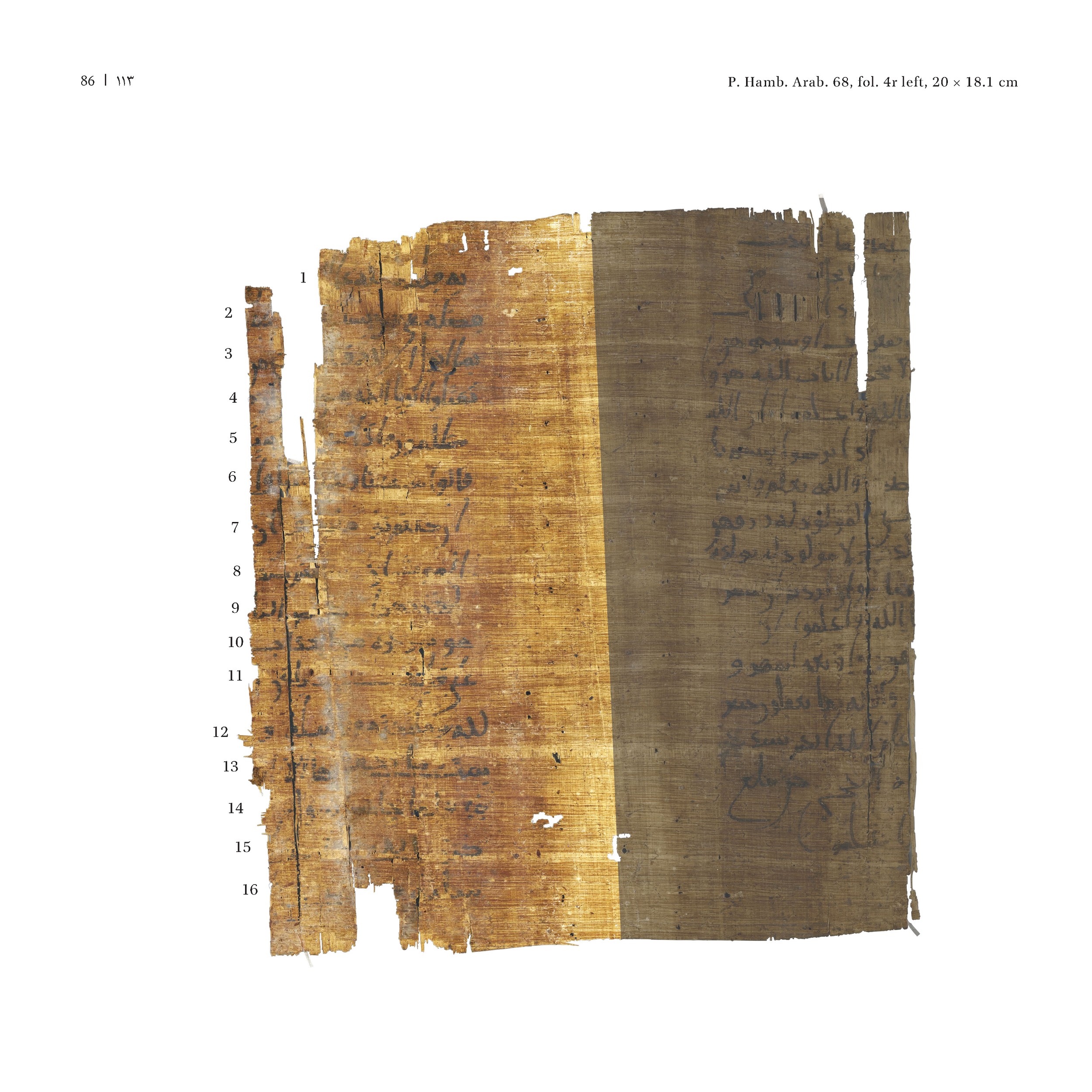 P. Hamb. Arab. 68 (Scan 5), in ḥiǧāzī IV script, showing Surah 2:89 from Mid 7th to Mid 8th Century AD found in Egypt, currently housed at Staats- und Universitätsbibliothek Hamburg, Hamburg, Germany