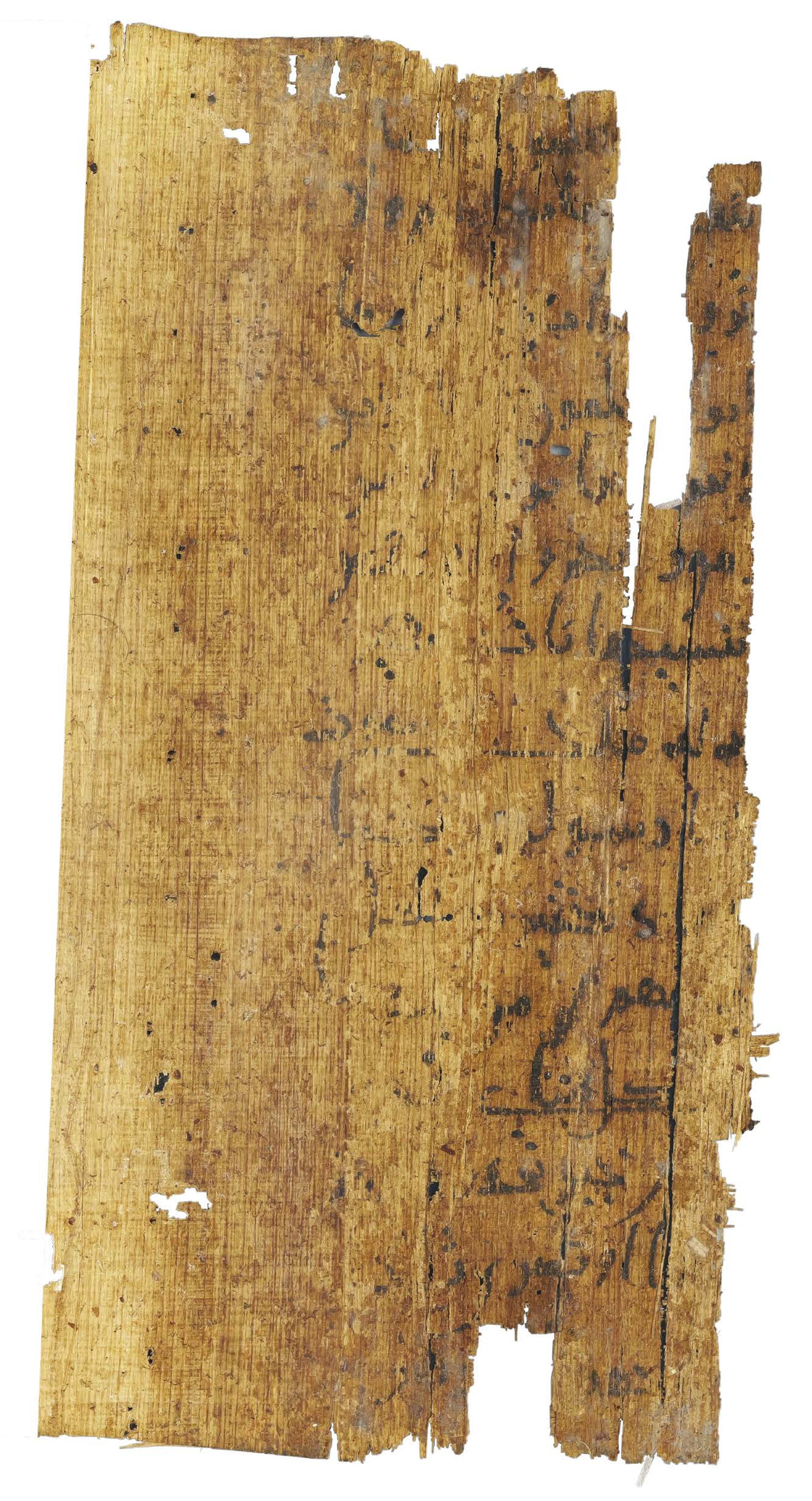 P. Hamb. Arab. 68 (Scan 1), in ḥiǧāzī IV script, showing Surah 2:112 from Mid 7th to Mid 8th Century AD found in Egypt, currently housed at Staats- und Universitätsbibliothek Hamburg, Hamburg, Germany