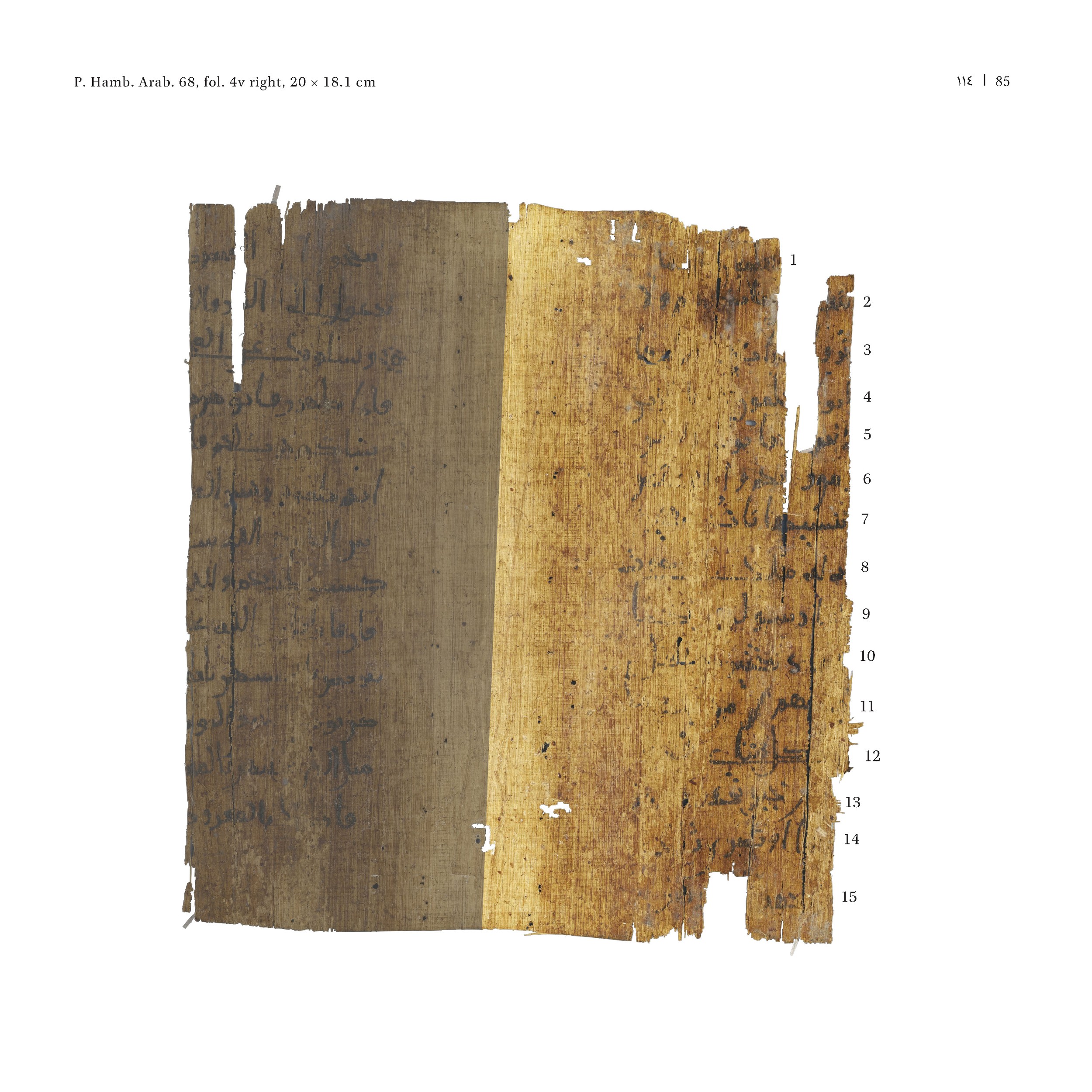 P. Hamb. Arab. 68 (Scan 2), in ḥiǧāzī IV script, showing Surah 2:112 from Mid 7th to Mid 8th Century AD found in Egypt, currently housed at Staats- und Universitätsbibliothek Hamburg, Hamburg, Germany