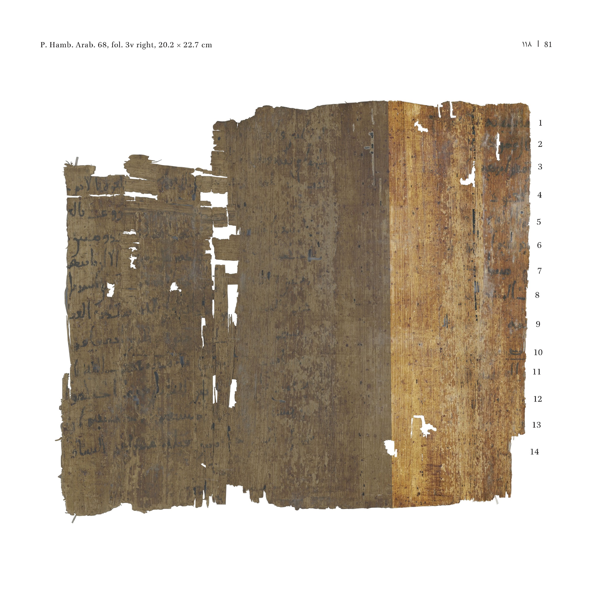 P. Hamb. Arab. 68 (Scan 1), in ḥiǧāzī IV script, showing Surah 2:124 from Mid 7th to Mid 8th Century AD found in Egypt, currently housed at Staats- und Universitätsbibliothek Hamburg, Hamburg, Germany