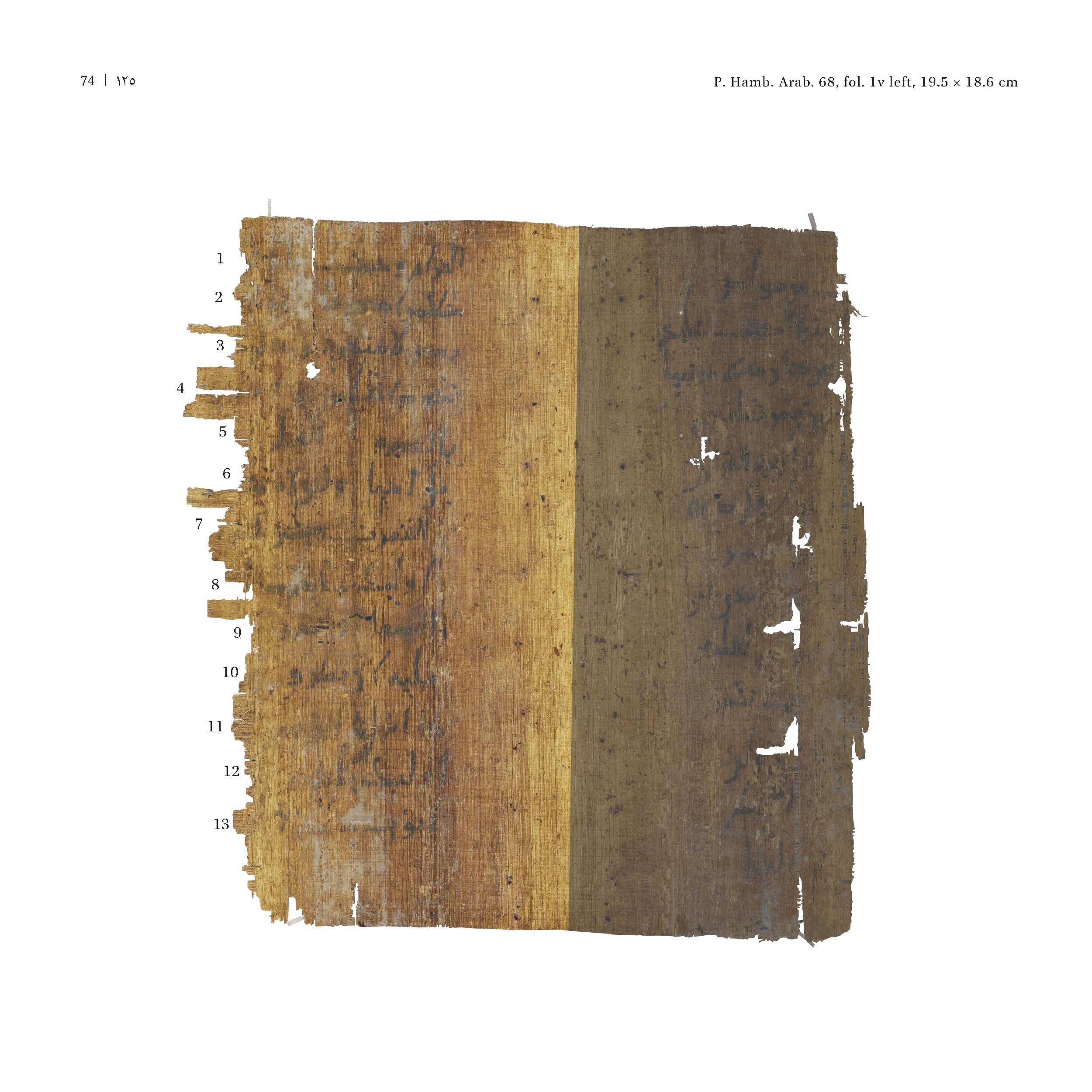 P. Hamb. Arab. 68 (Scan 1), in ḥiǧāzī IV script, showing Surah 2:151 from Mid 7th to Mid 8th Century AD found in Egypt, currently housed at Staats- und Universitätsbibliothek Hamburg, Hamburg, Germany