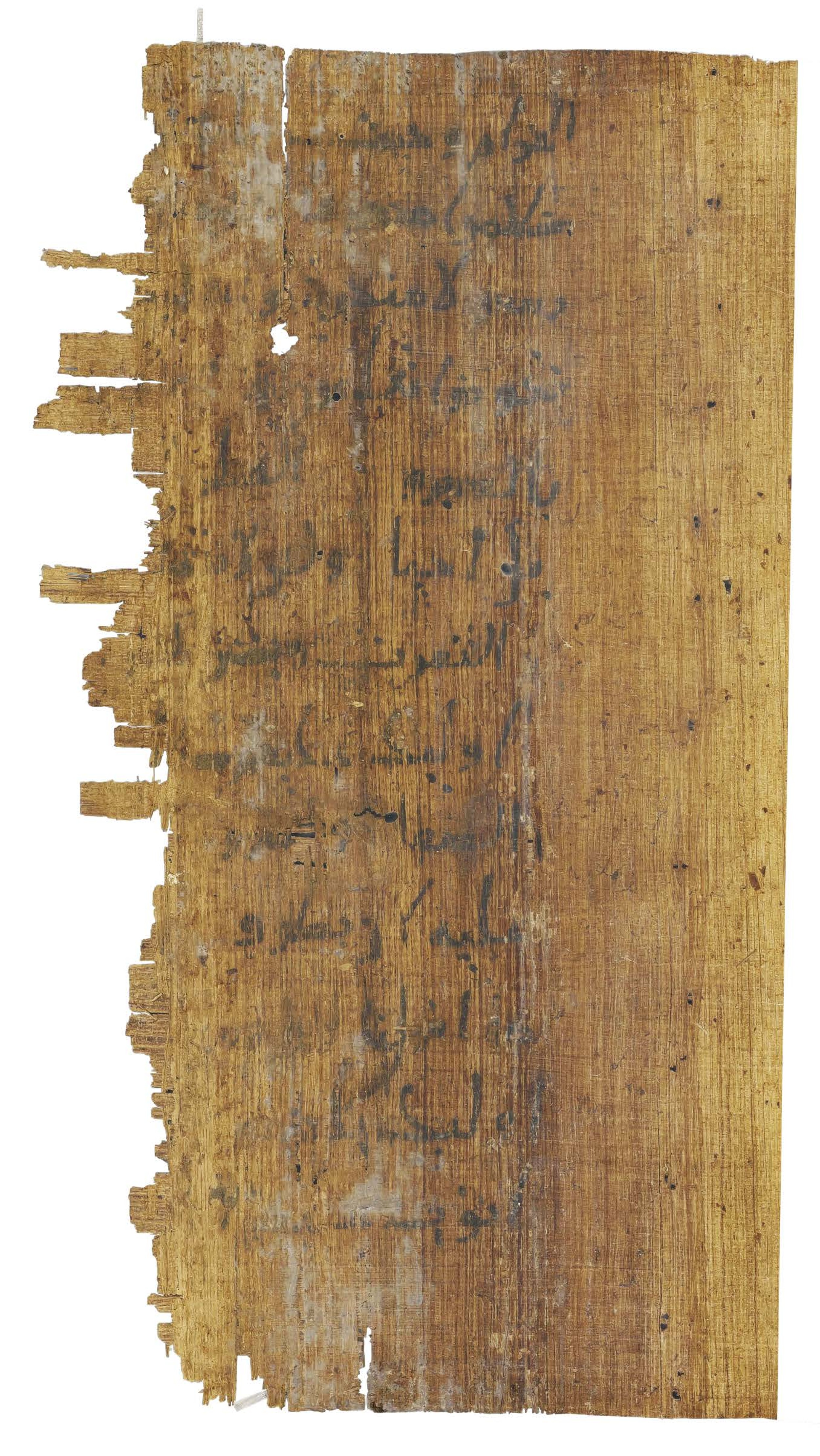 P. Hamb. Arab. 68 (Scan 2), in ḥiǧāzī IV script, showing Surah 2:151 from Mid 7th to Mid 8th Century AD found in Egypt, currently housed at Staats- und Universitätsbibliothek Hamburg, Hamburg, Germany