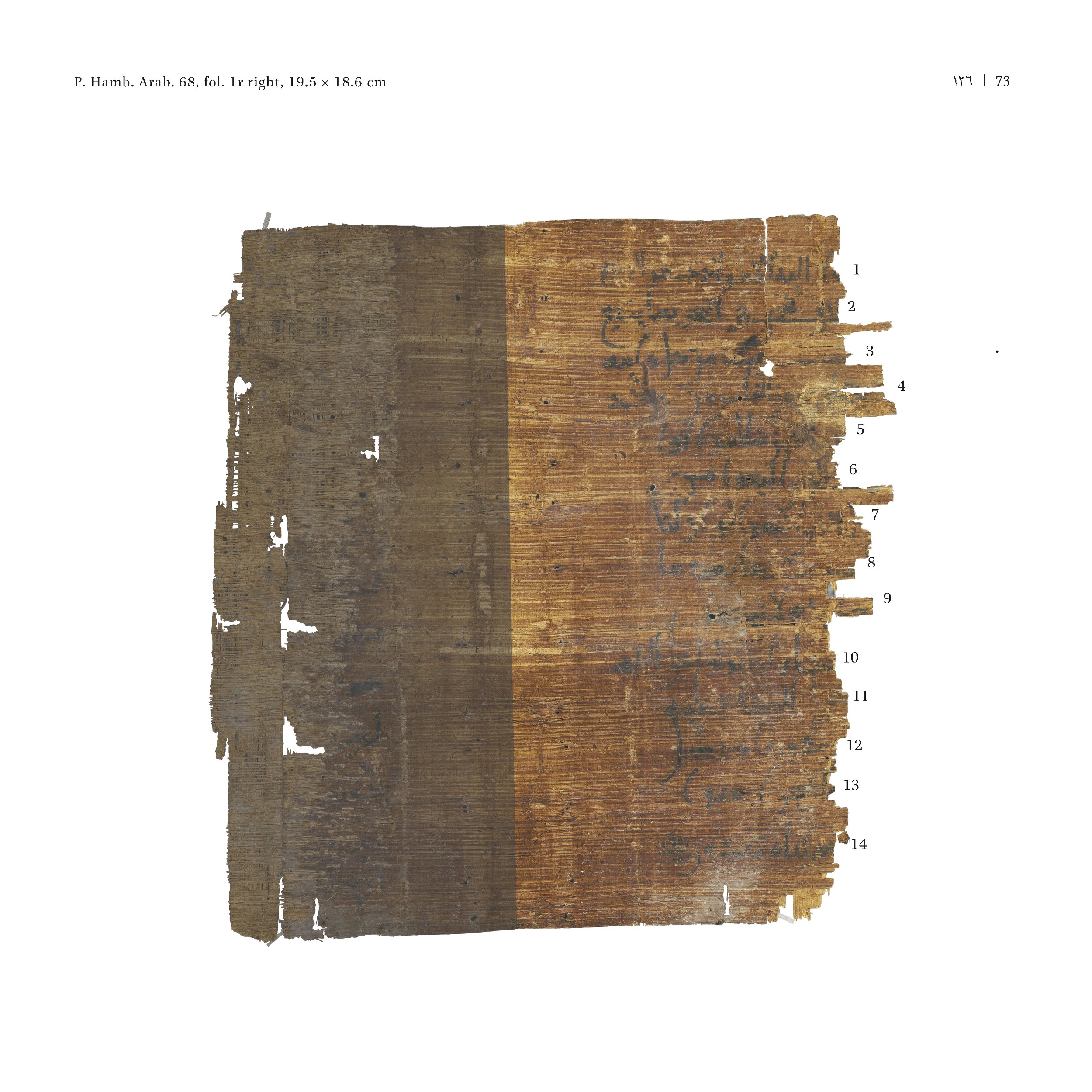 P. Hamb. Arab. 68 (Scan 1), in ḥiǧāzī IV script, showing Surah 2:162 from Mid 7th to Mid 8th Century AD found in Egypt, currently housed at Staats- und Universitätsbibliothek Hamburg, Hamburg, Germany